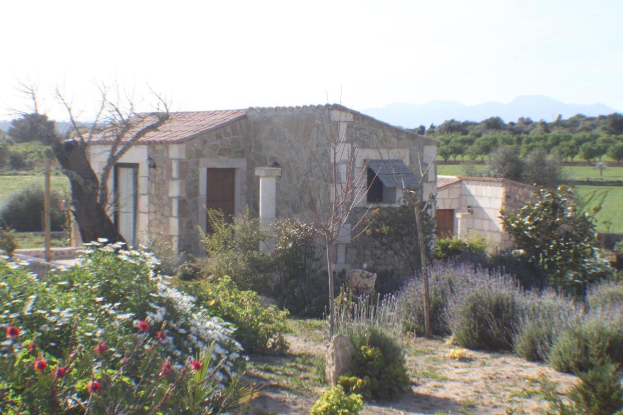 Es Raco De Maria Hotel María de la Salud