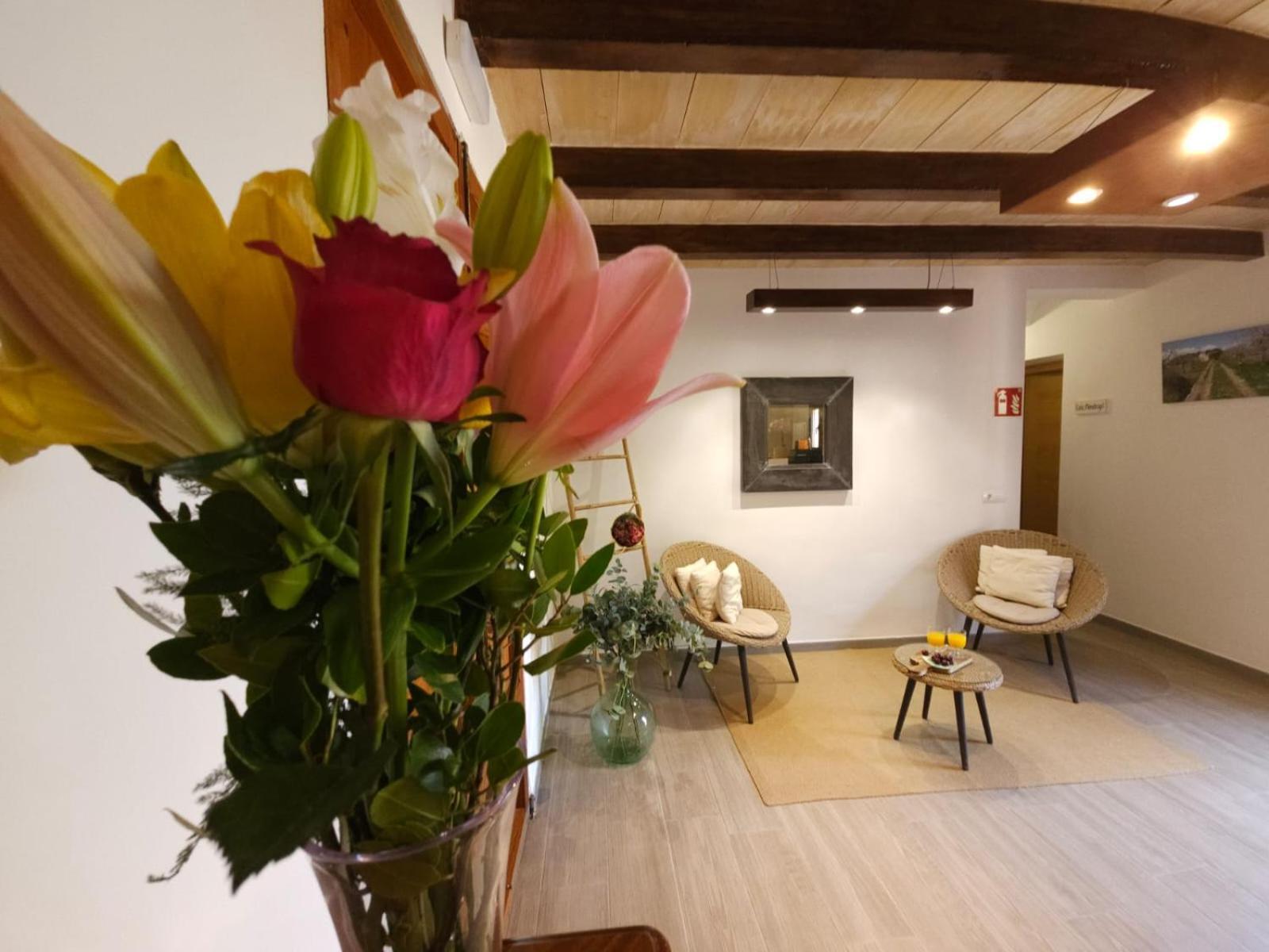 Es Raco De Maria Hotel María de la Salud