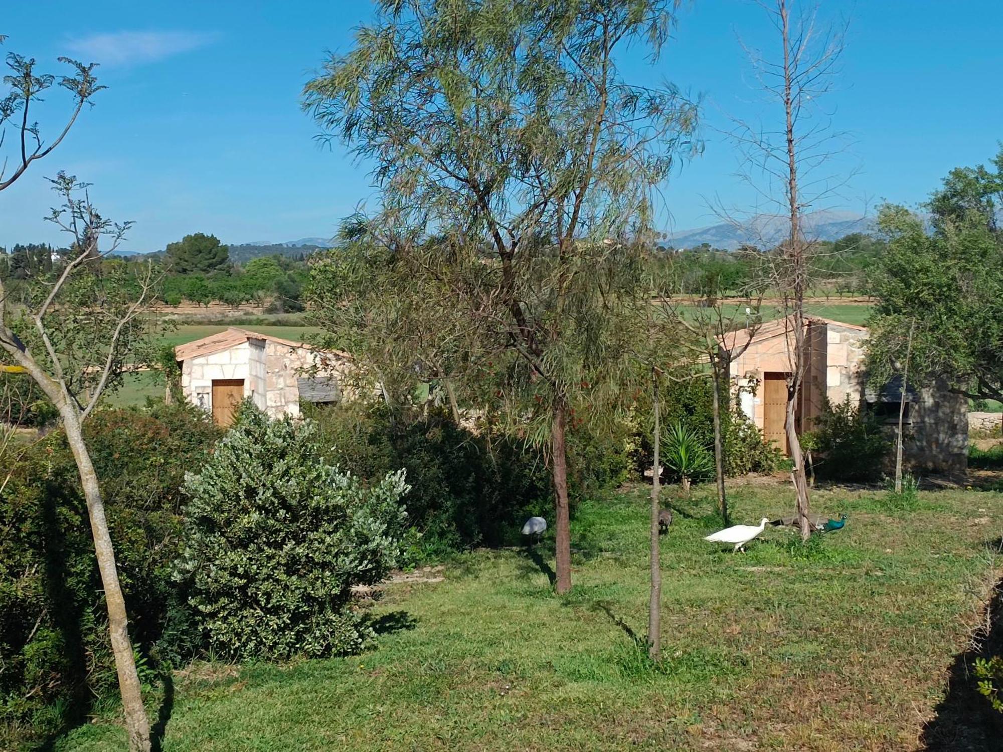 Hotel Es Raco De Maria